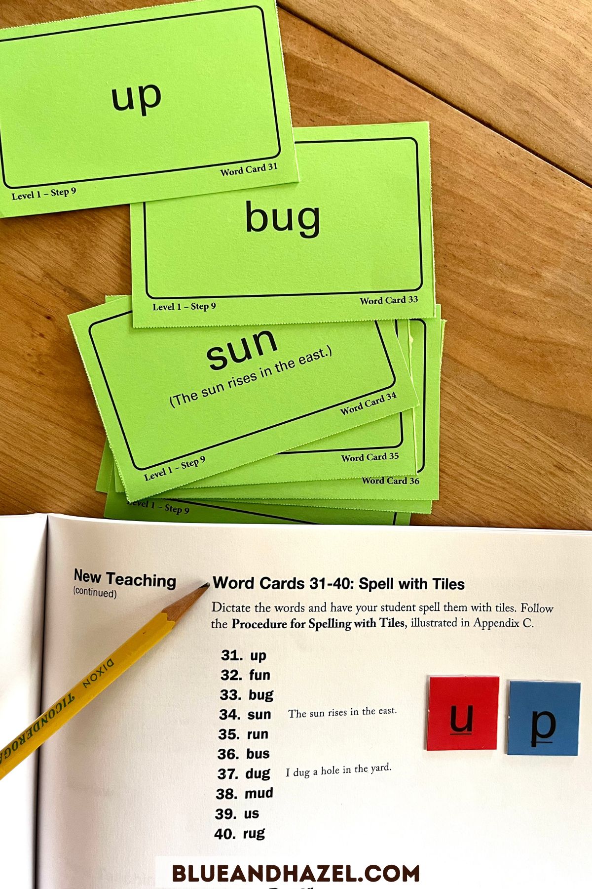 All About Spelling Level 1 Review With a 3rd Grader - Blue and Hazel