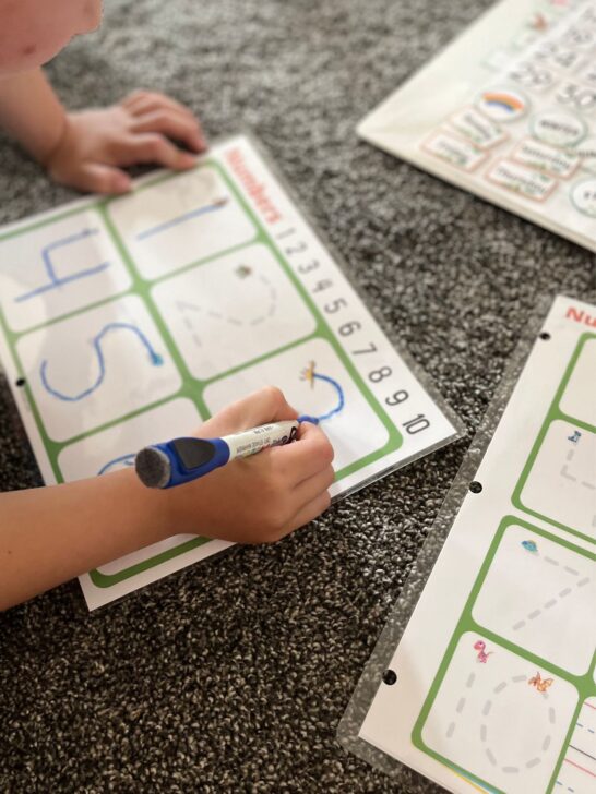 A kindergarten boy is tracing numbers 1-6 on a laminated sheet using a dry erase marker.