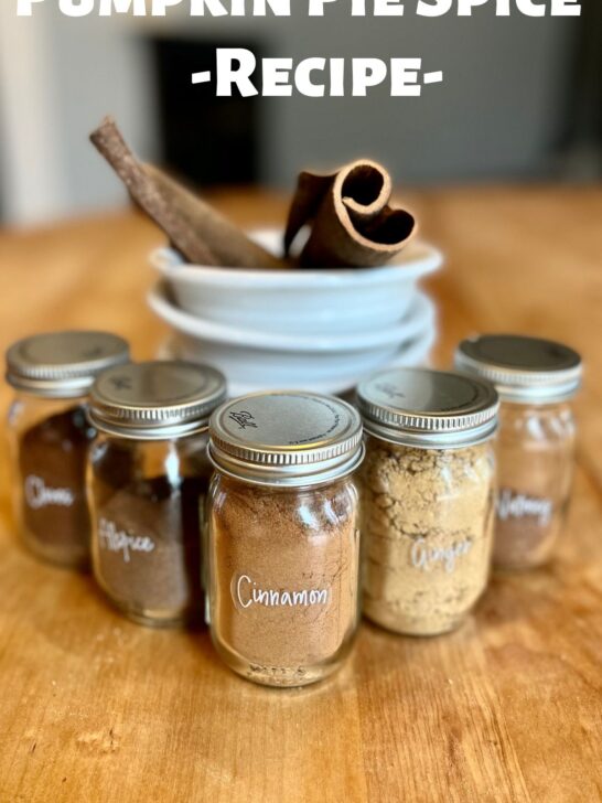 Ground cinnamon, ginger, allspice, clove, and nutmeg all in 4 oz ball spice jars on a wooden table.