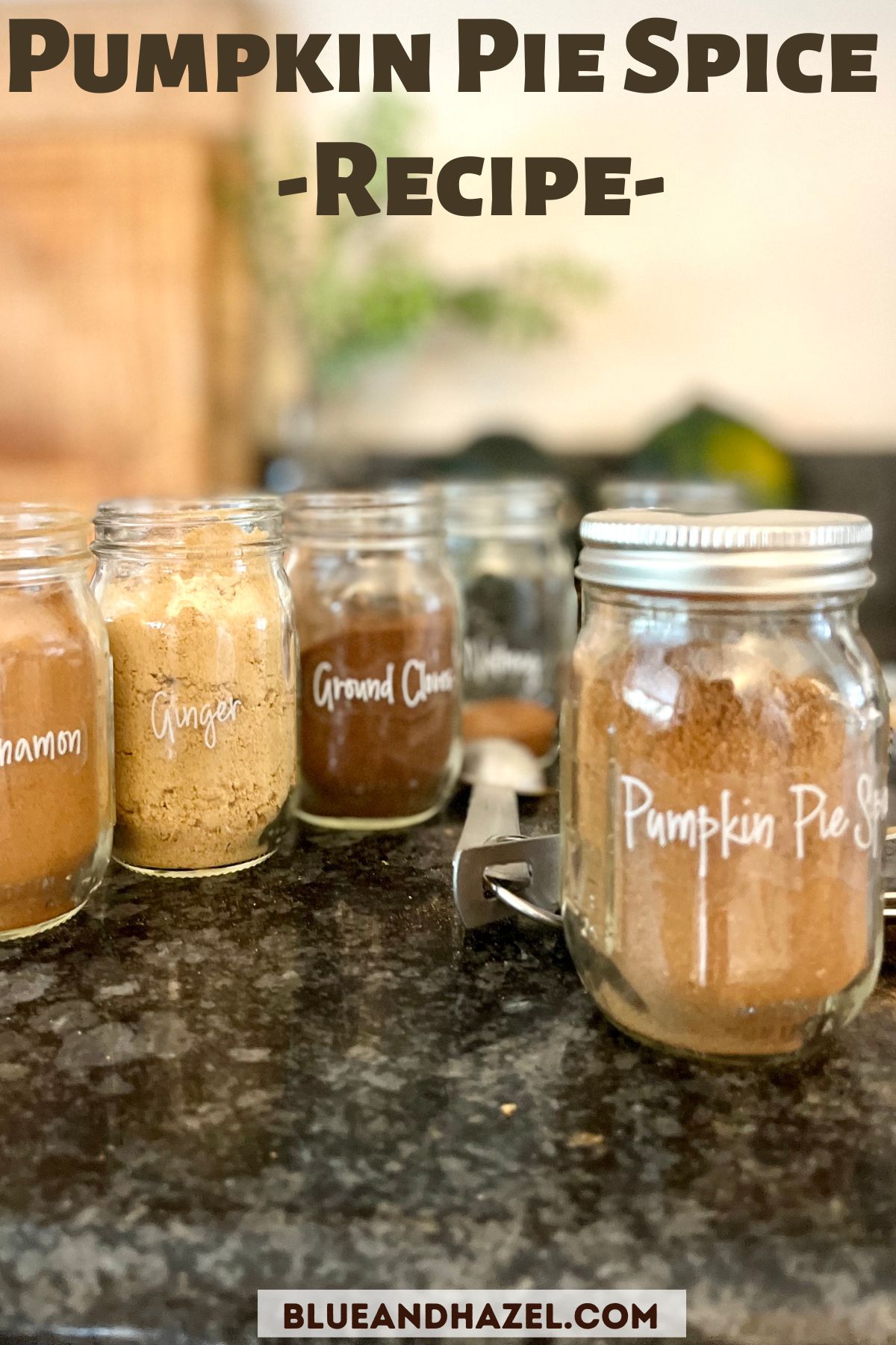 Homemade Pumpkin Pie Spice Recipe Blue and Hazel