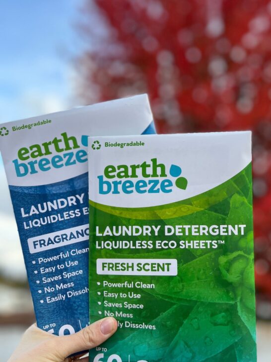 A hand holding up fragrance free and fresh scent packages of Earth Breeze Laundry Detergent Liquidless Eco Sheets in front of a bright red leaf maple tree.