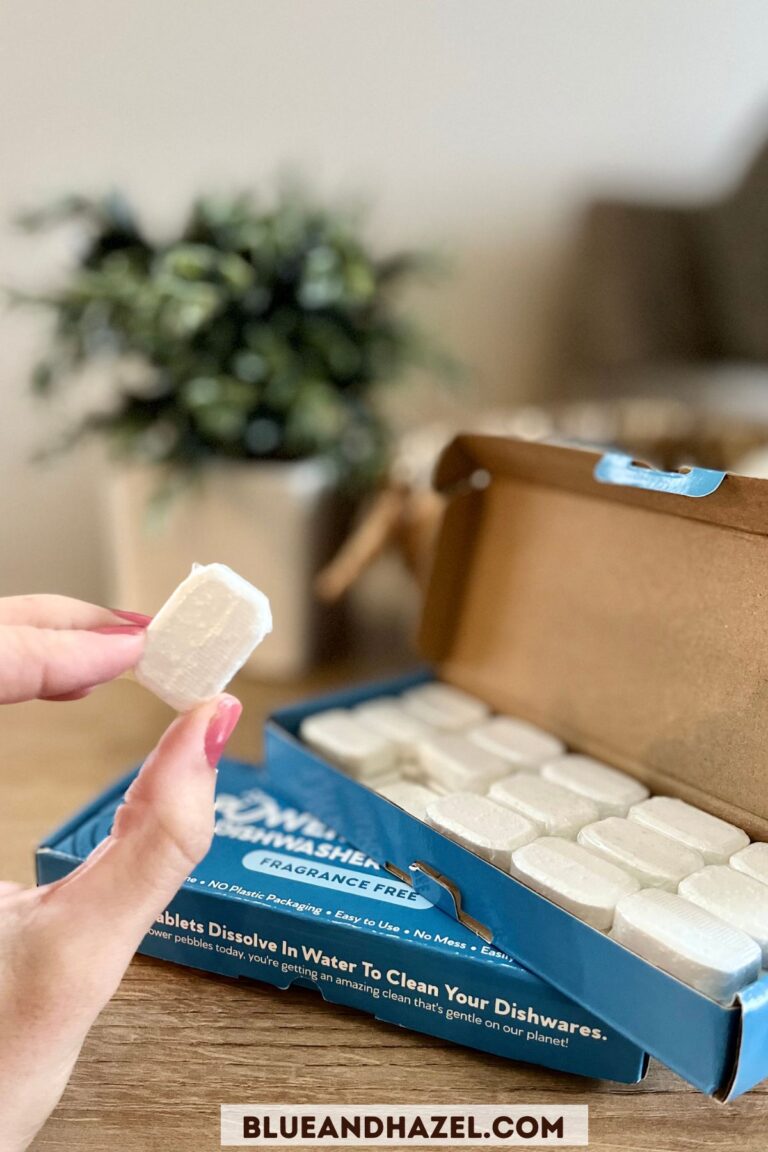 Earth Breeze Laundry Sheets Pros & Cons Are They All They’re Hyped Up To Be? Blue and Hazel