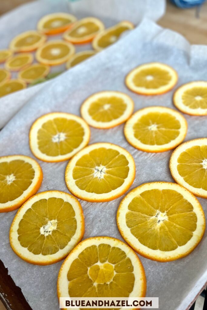 Orange slices on a cookie sheet lined with parchment paper. 