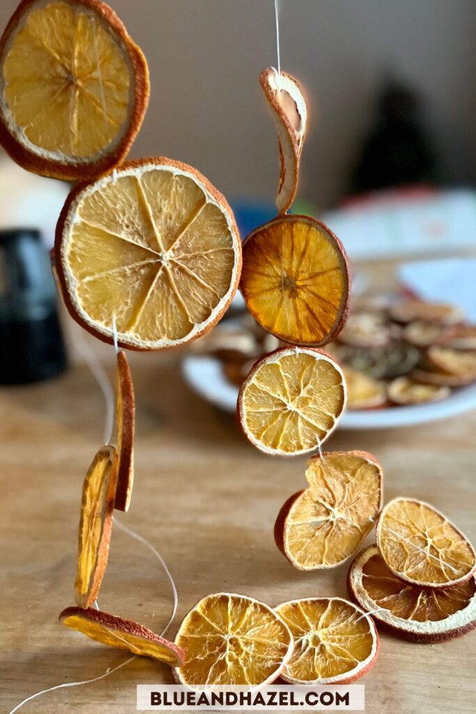 Dried orange slices strung onto waxed floss to make a Christmas garland.