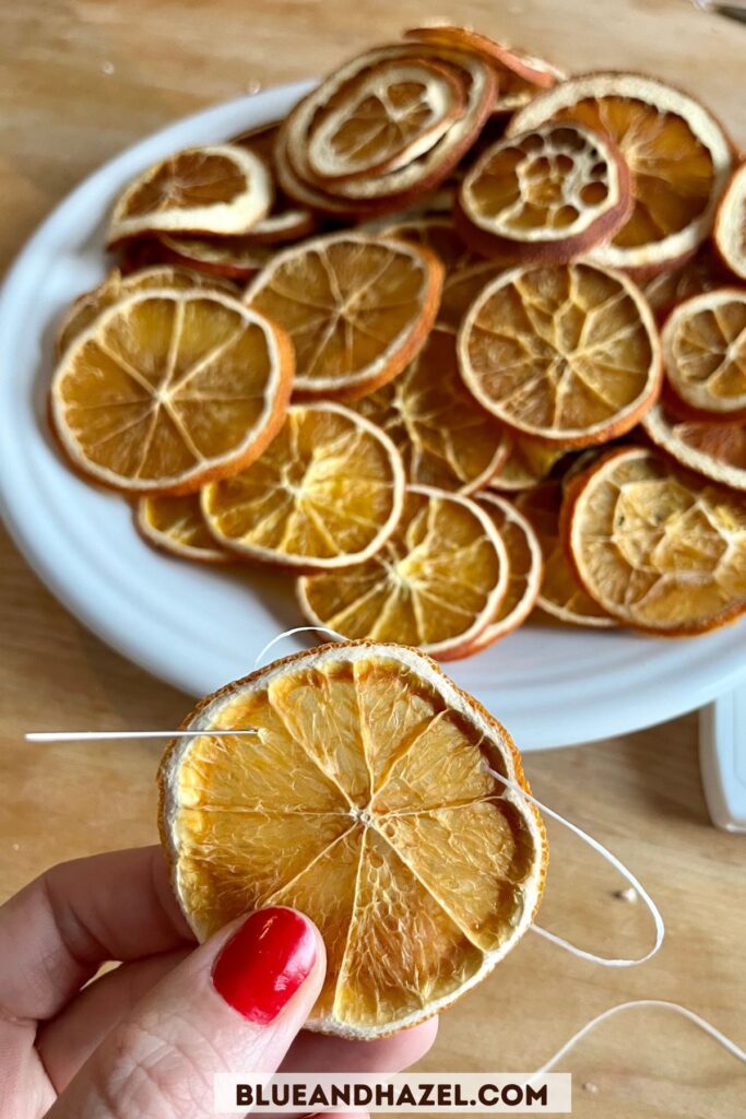 A sewing needle and waxed floss threaded through a dried orange slice with a plate of orange slices in the background. 
