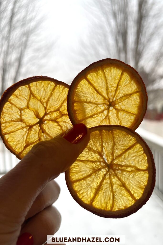 3 oven dried orange slices held up to a window to show how the light comes through to make them look like orange jewels. 