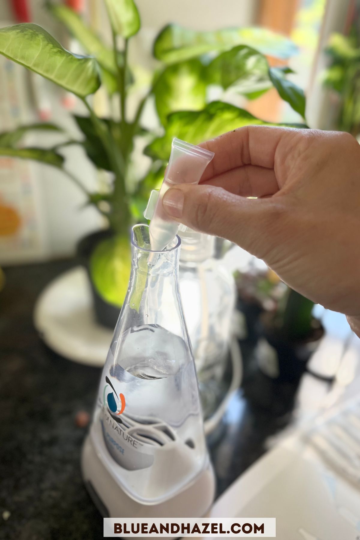 Force Of Nature Cleaner Review: Safe, Disinfects, & Non Toxic? - Blue ...