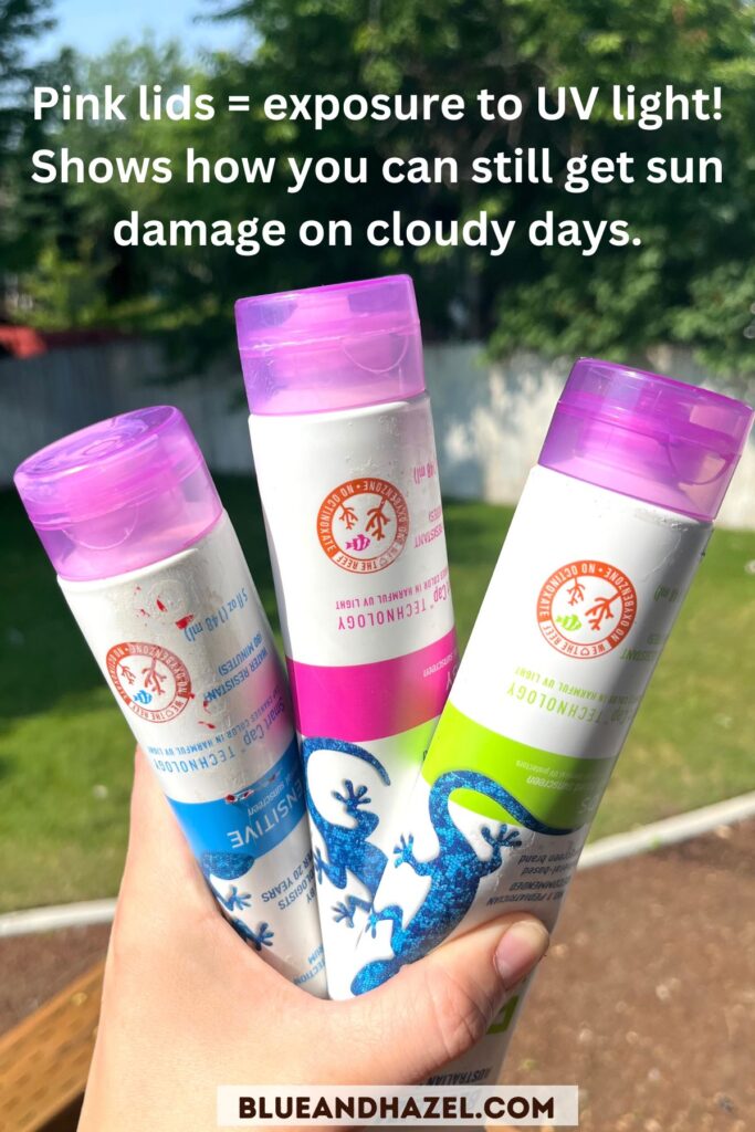 Blue Lizard mineral sunscreen with lids turned pink from UV rays. Here a hand is holding up 3 bottles in sensitive, baby, and kids formulas. 