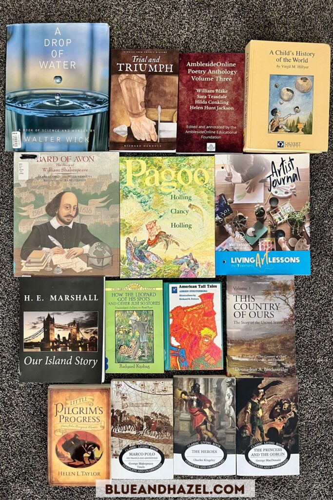 Flat Lay of all the Year 3 Ambleside Online Books