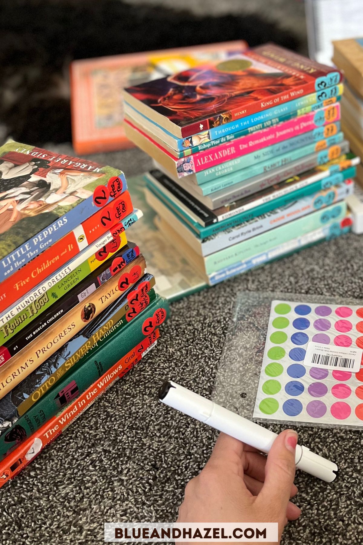 Labeling and orgainzing Ambleside Online books by year as they come in the mail. Each year has a color coded dot sticker listing the year and subject.